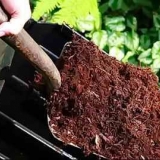 Šta ne dodati u kompost